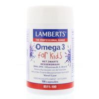 Lamberts Visolie omega 3 for kids
