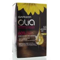 Garnier Olia 5.3 golden brown