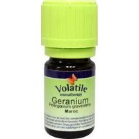 Volatile Geranium maroc