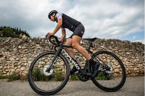 Castelli - Shop the Look