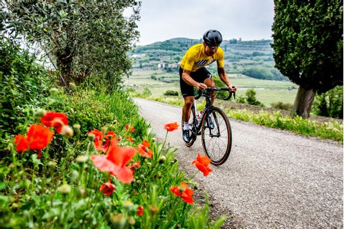 Castelli - Shop the Look