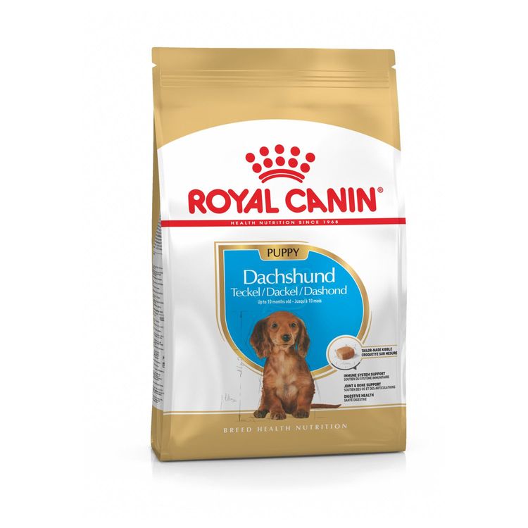 Royal Canin BHN Dachshund Puppy Foto van Royal Canin BHN Dachshund Puppy