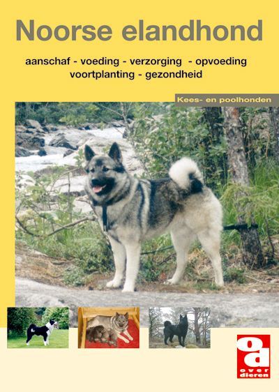 Over Dieren Noorse elandhond Foto van Over Dieren Noorse elandhond