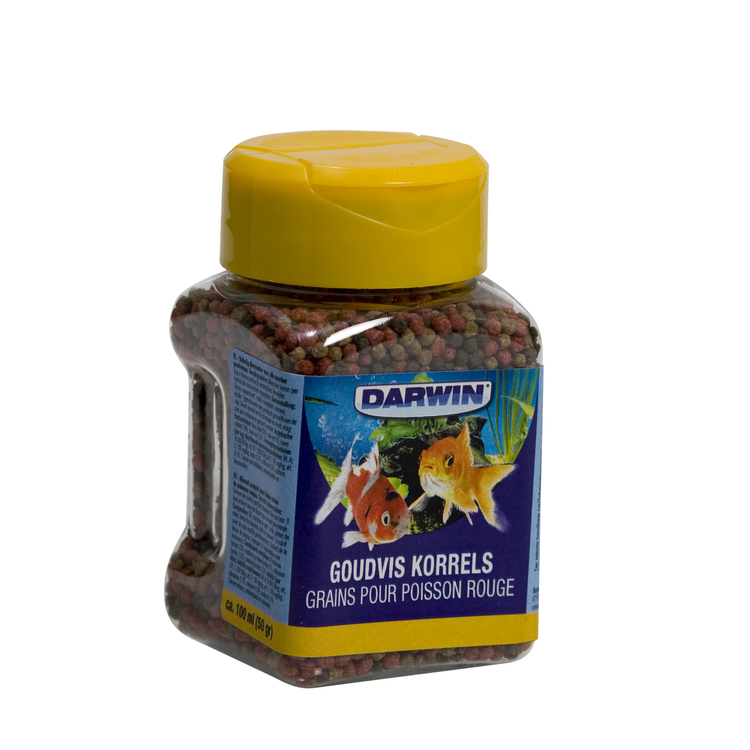 Darwin Goudvis korrels Foto van Darwin Goudvis korrels