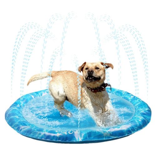 All for Paws Chill out bad met fontein Foto van All for Paws Chill out bad met fontein