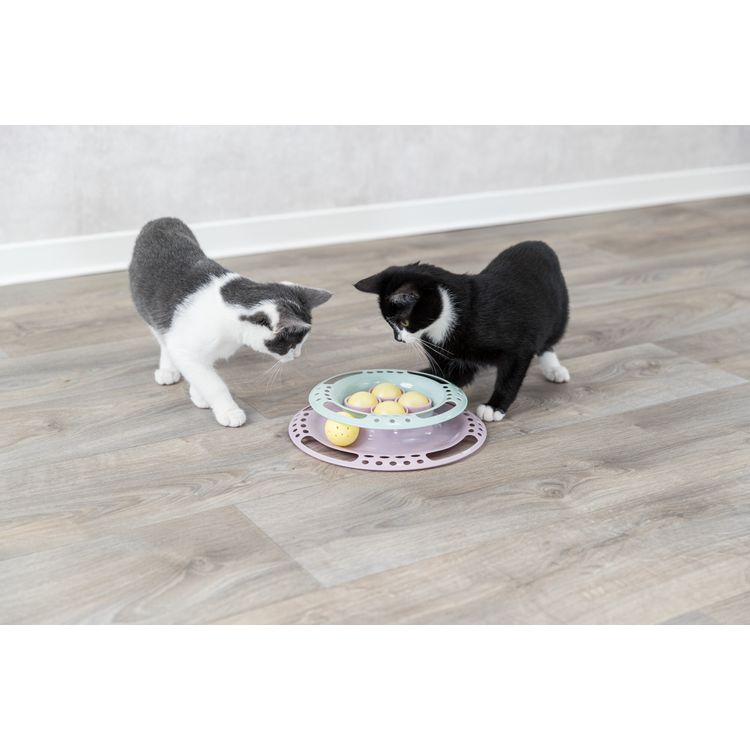Trixie Junior Kitten Circle Foto van Trixie Junior Kitten Circle