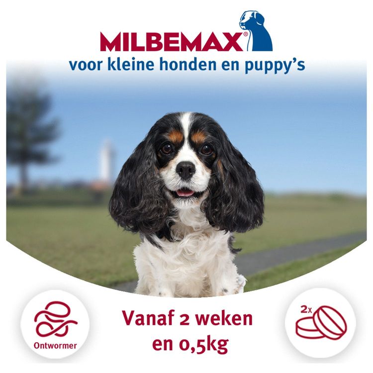 Elanco Milbemax pup & hond 0,5-10kg Foto van Elanco Milbemax pup & hond 0,5-10kg