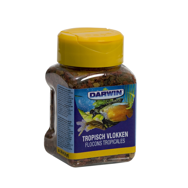 Darwin Tropisch vlokken Foto van Darwin Tropisch vlokken