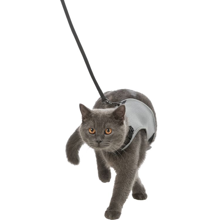 Trixie Softtuig kat met riem Foto van Trixie Softtuig kat met riem