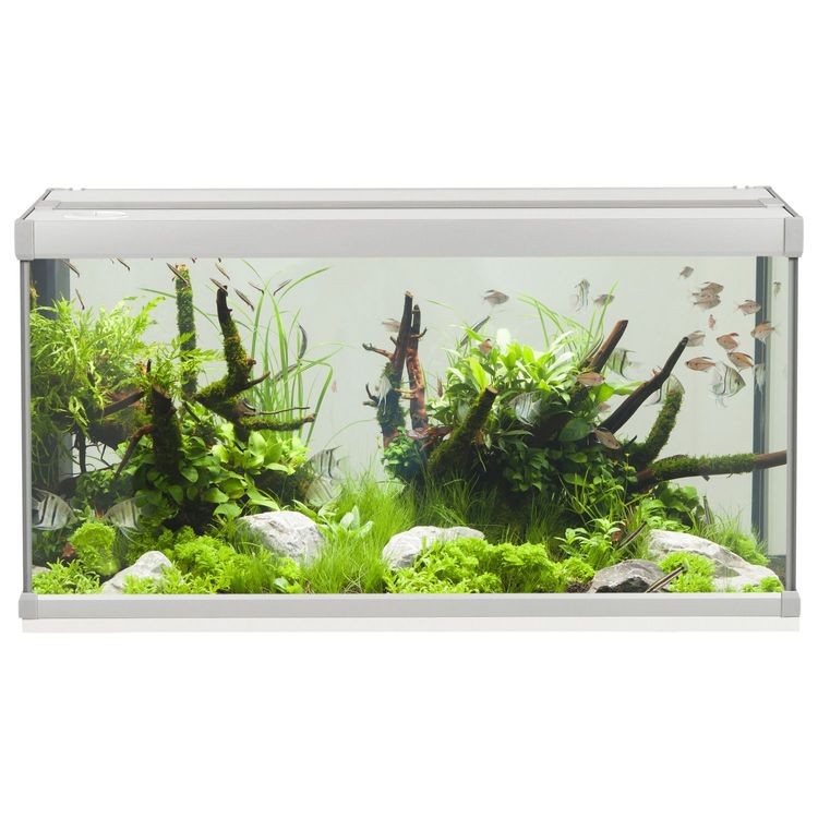 AkvaStabil Family aquarium Foto van AkvaStabil Family aquarium
