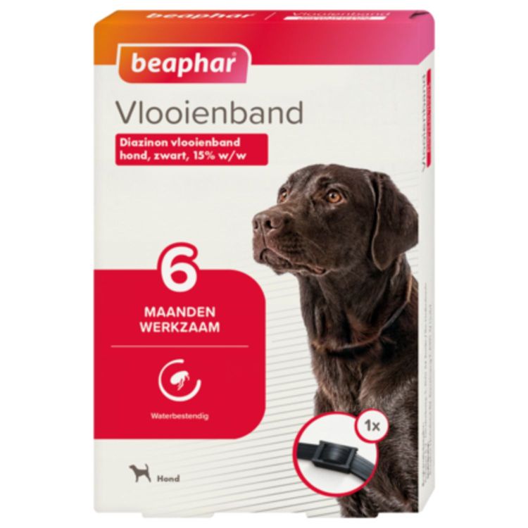 Beaphar Vlooienband 6 mnd hond Foto van Beaphar Vlooienband 6 mnd hond