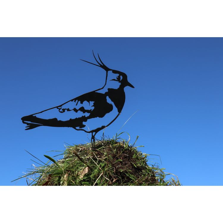Vogel Cortenstaal - Kievit - Zwart Foto van Vogel Cortenstaal - Kievit - Zwart