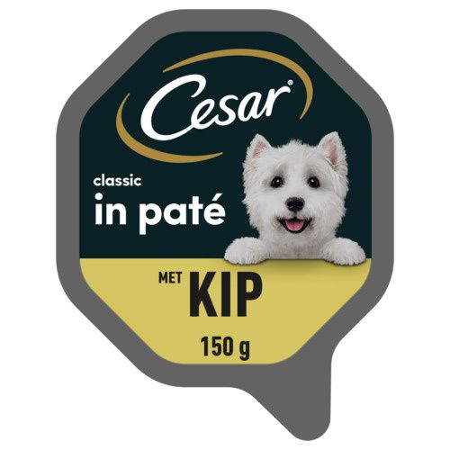 Cesar Alu classic Foto van Cesar Alu classic