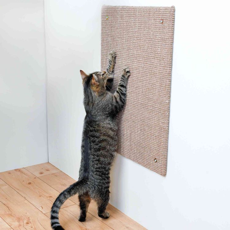 Trixie Krabplank XXL sisaltapijt catnip Foto van Trixie Krabplank XXL sisaltapijt catnip