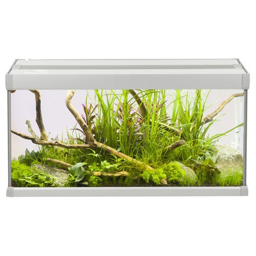 AkvaStabil Family aquarium Foto van AkvaStabil Family aquarium