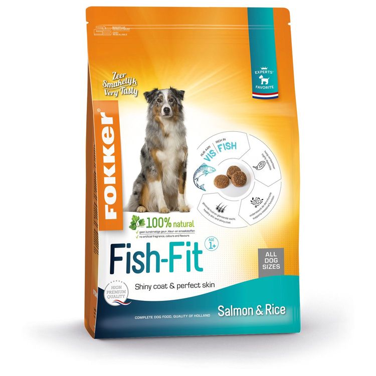 Fokker Dog Fish-Fit Foto van Fokker Dog Fish-Fit