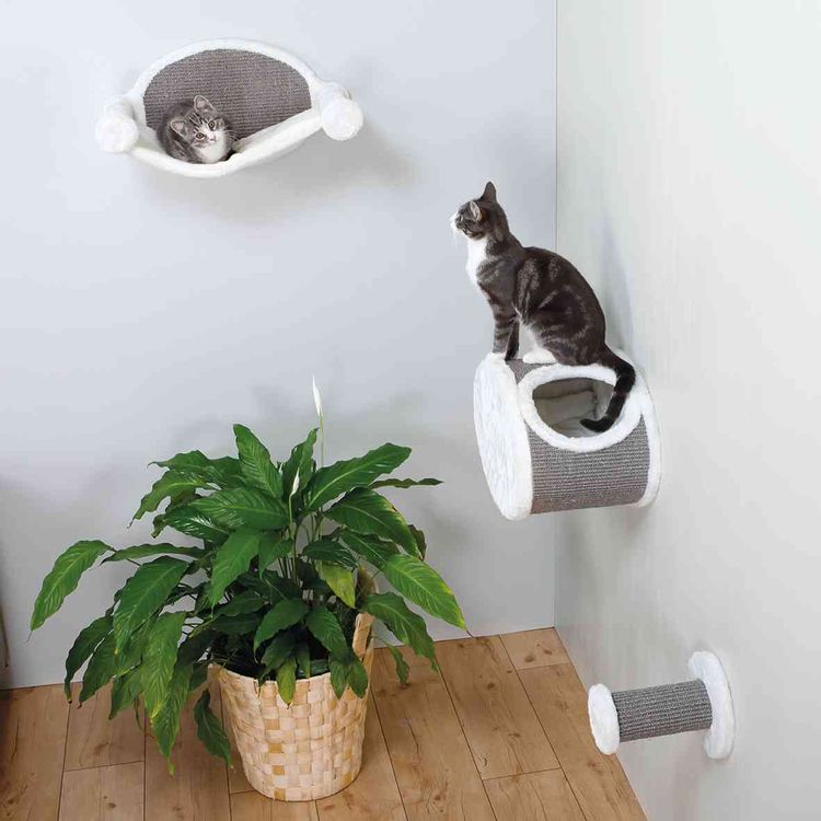 Trixie Relax-iglo voor aan de muur Foto van Trixie Relax-iglo voor aan de muur