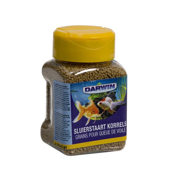 Darwin Sluierstaart korrels Foto van Darwin Sluierstaart korrels