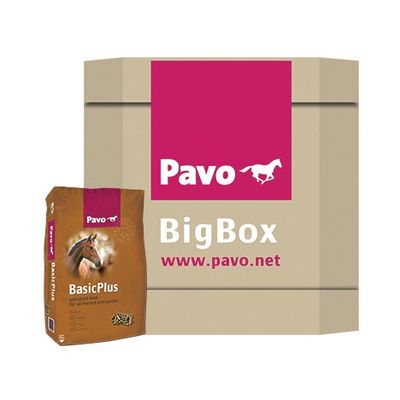 Foto van Pavo BasicPlus Big Box 725kg