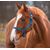 Paarden / pony halster blauw