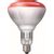 Warmtelamp / infrarood lamp rood Philips 250 Watt 10 stuks