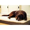 Afbeelding van Beeztees Zira Orthopedisch Hondenkussen beige 120x80cm