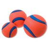 Afbeelding van Hondenbal Chuckit Ultra Ball Small 2 stuks