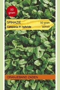 Spinazie Campania F1 - 50 gram Oranjeband