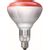 Warmtelamp / infrarood lamp Philips 150Watt rood 10 stuks