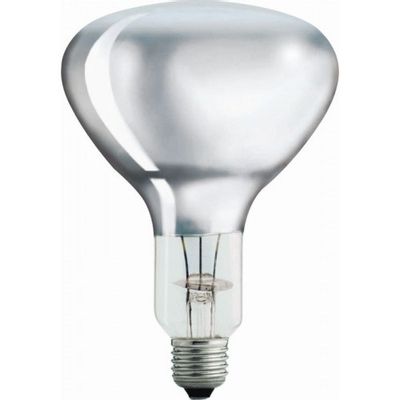 Foto van Warmtelamp / infrarood lamp wit Philips 250Watt 