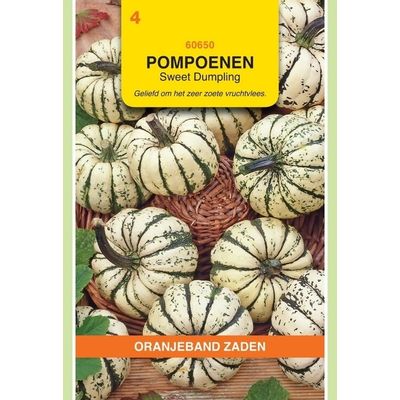 Foto van Pompoenen Sweet Dumpling Oranjeband