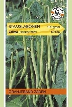 Stamslabonen Calima (Haricots Verts) Oranjeband