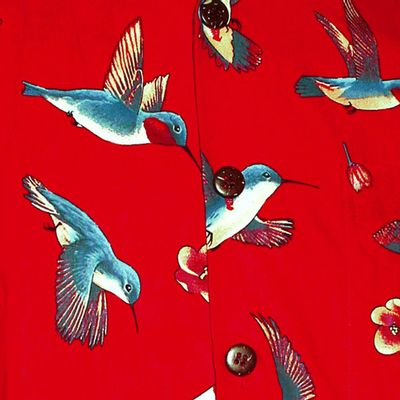 Foto van Chenaski | Overhemd korte mouw, Colibri rood