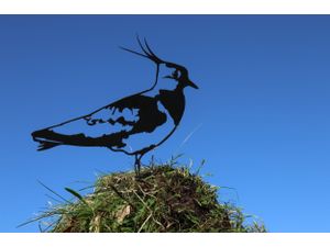 Vogel Cortenstaal - Kievit Foto van Vogel Cortenstaal - Kievit