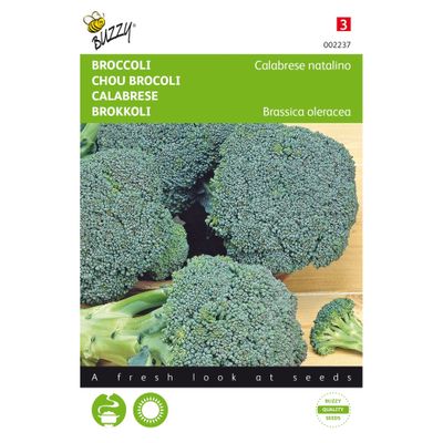 Foto van Broccoli Calabrese natalino, groen