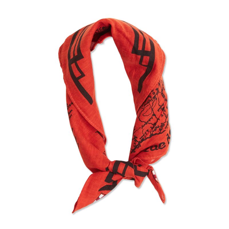 Blue de Genes Grafico Scarf Red Blue de Genes Grafico Scarf Red